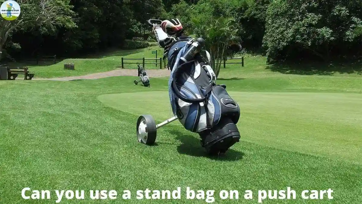 can you use a stand bag on a push cart